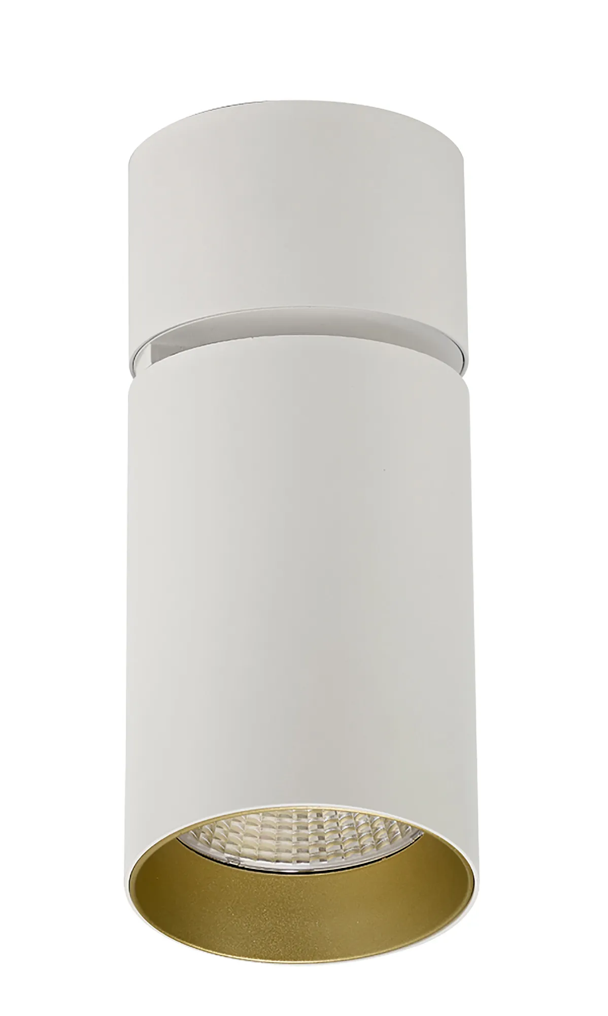 Eos A 20 Indoor Surface Mounted Luminaires Dlux Multidirectional Surface Mount